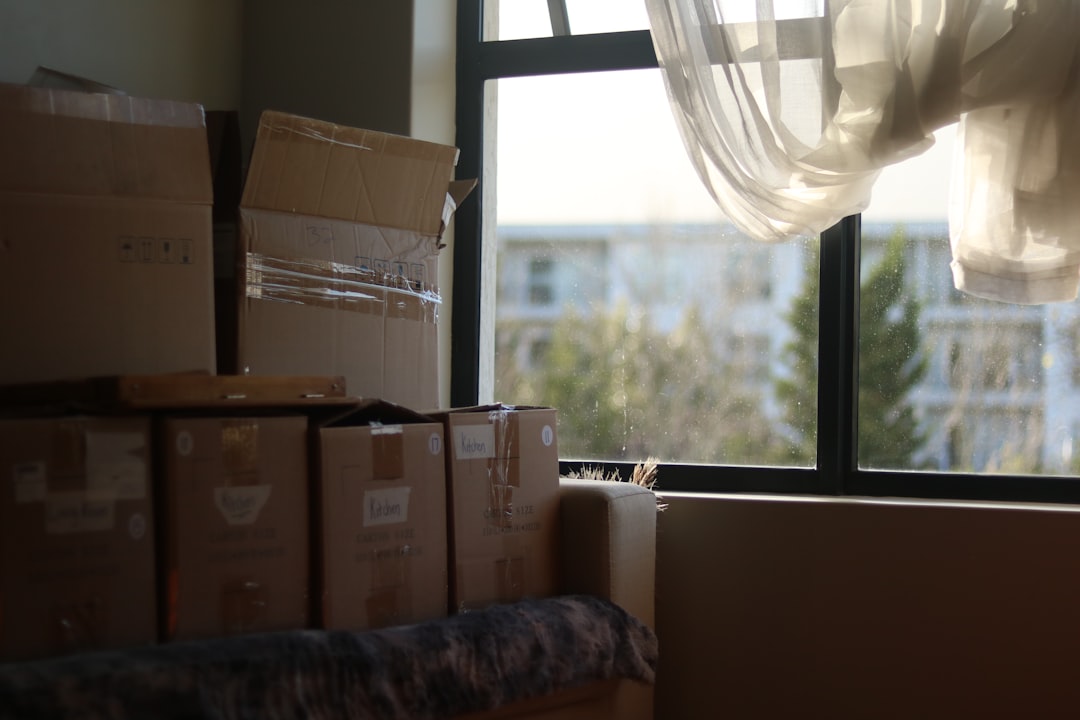 Moving boxes in an apartment illustrating an N12 tenancy termination in Ontario