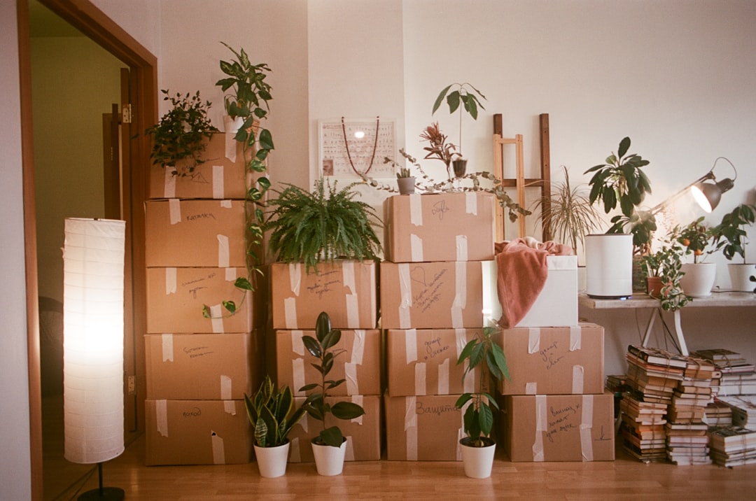 Moving boxes in an Ontario rental home