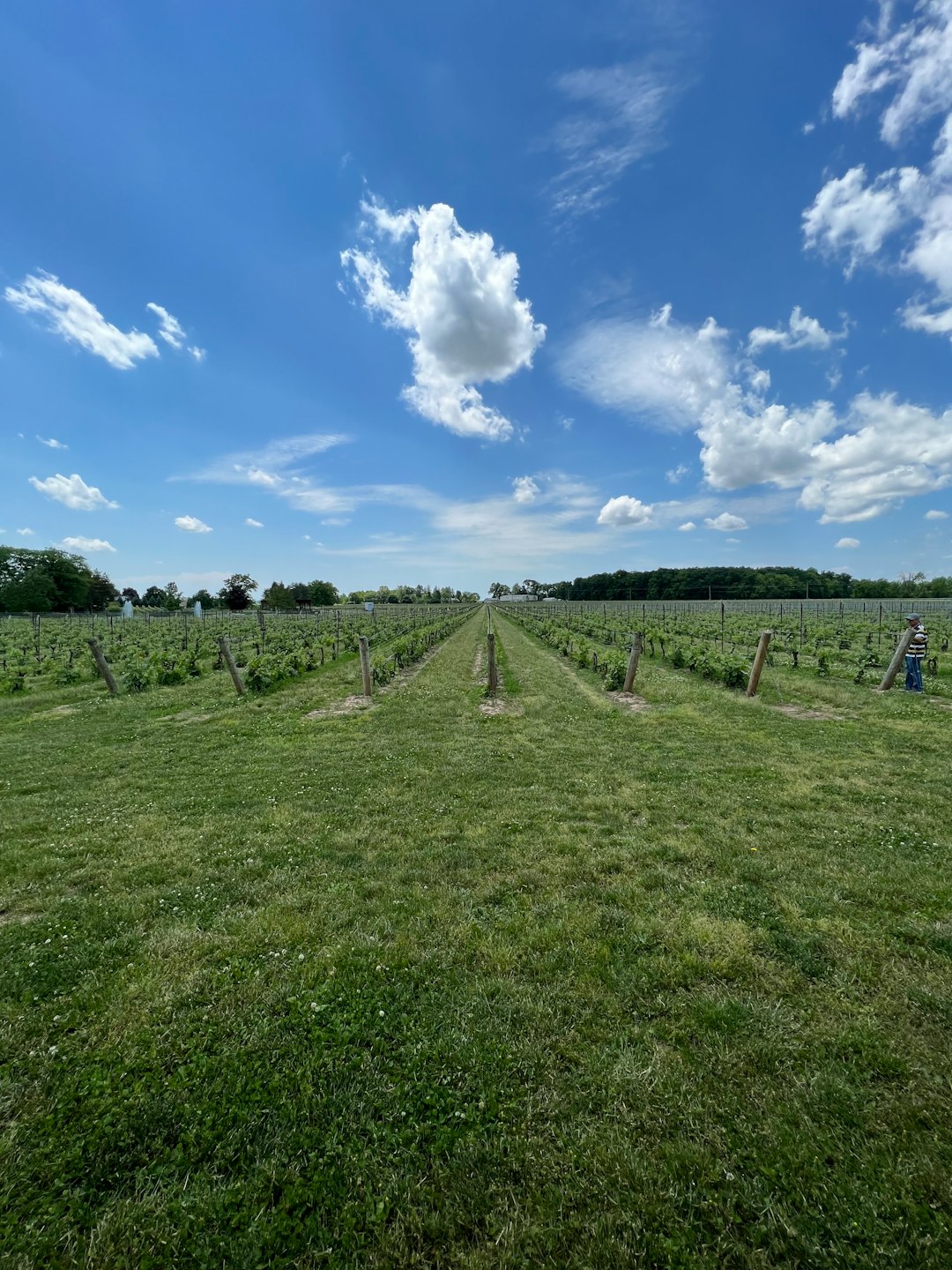 Niagara Region Ontario rural landscape and property