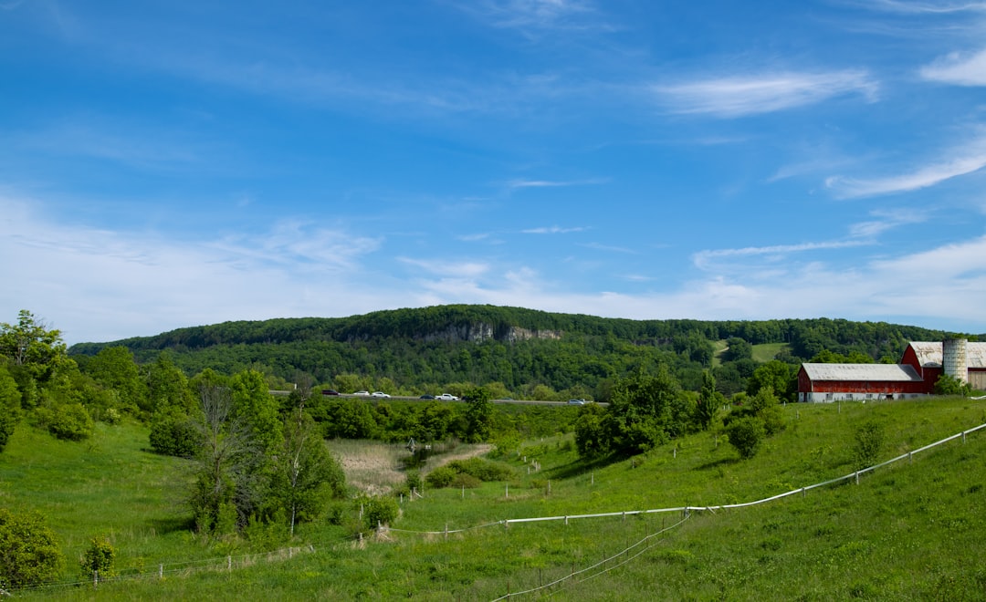 Ontario farmland and red barn for Elgin County property guide