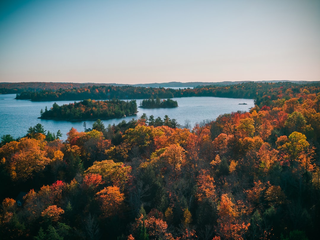Ontario forest and lake aerial landscape for Oro-Medonte property guide