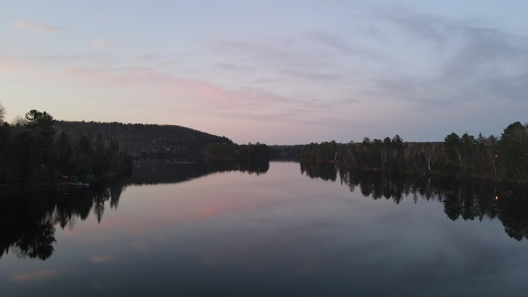 Ontario forest and lake landscape for Springwater property guide