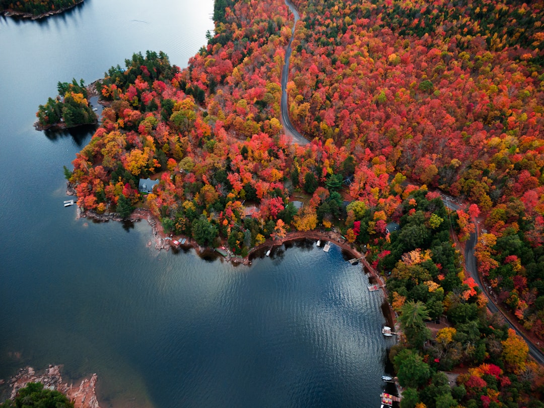 Ontario lake and forest landscape for Severn Township property guide