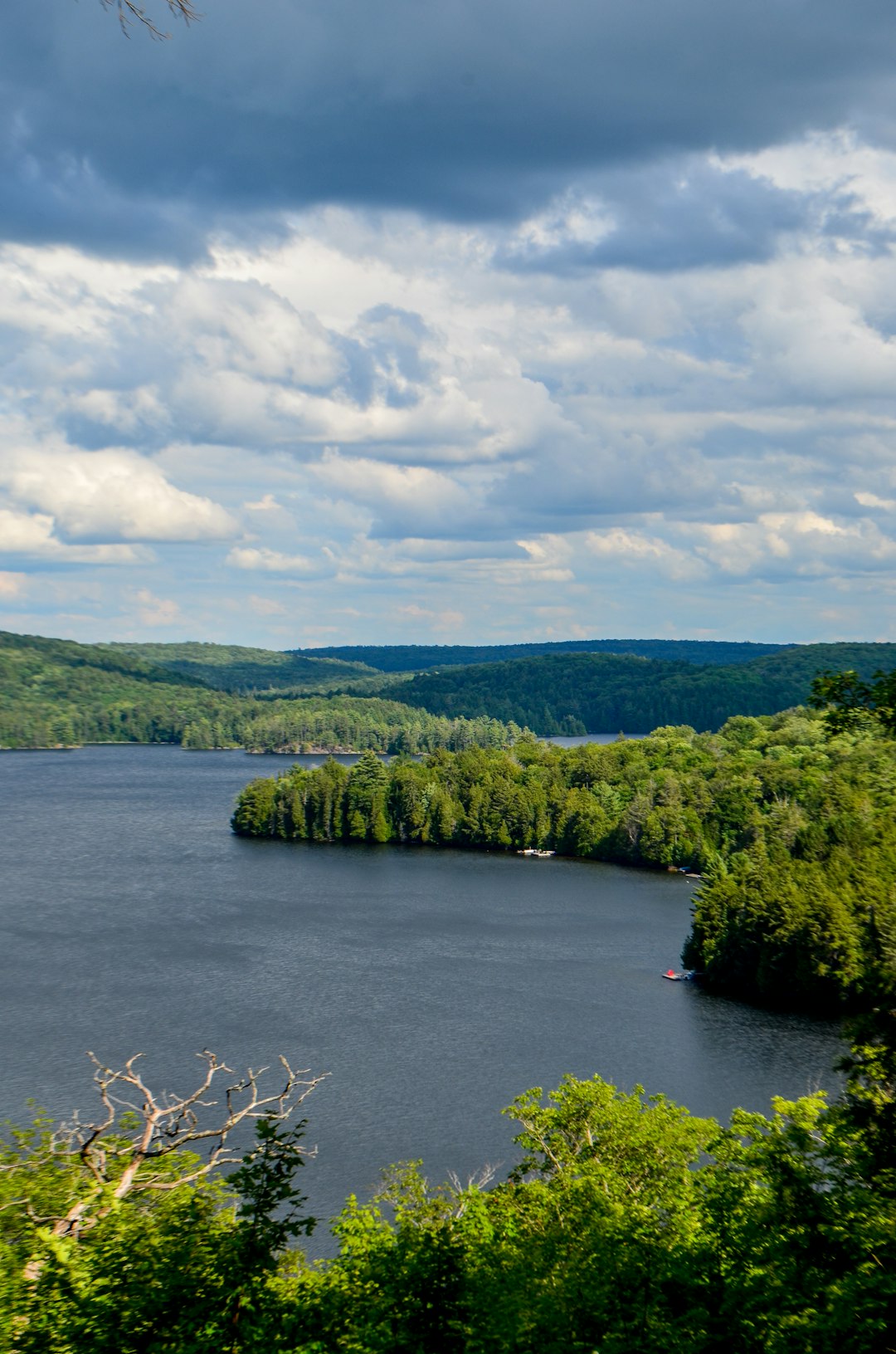 Ontario lake and forest shoreline for Ramara property guide