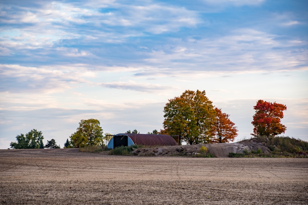 Ontario rural farm and barn for Clearview Township property guide