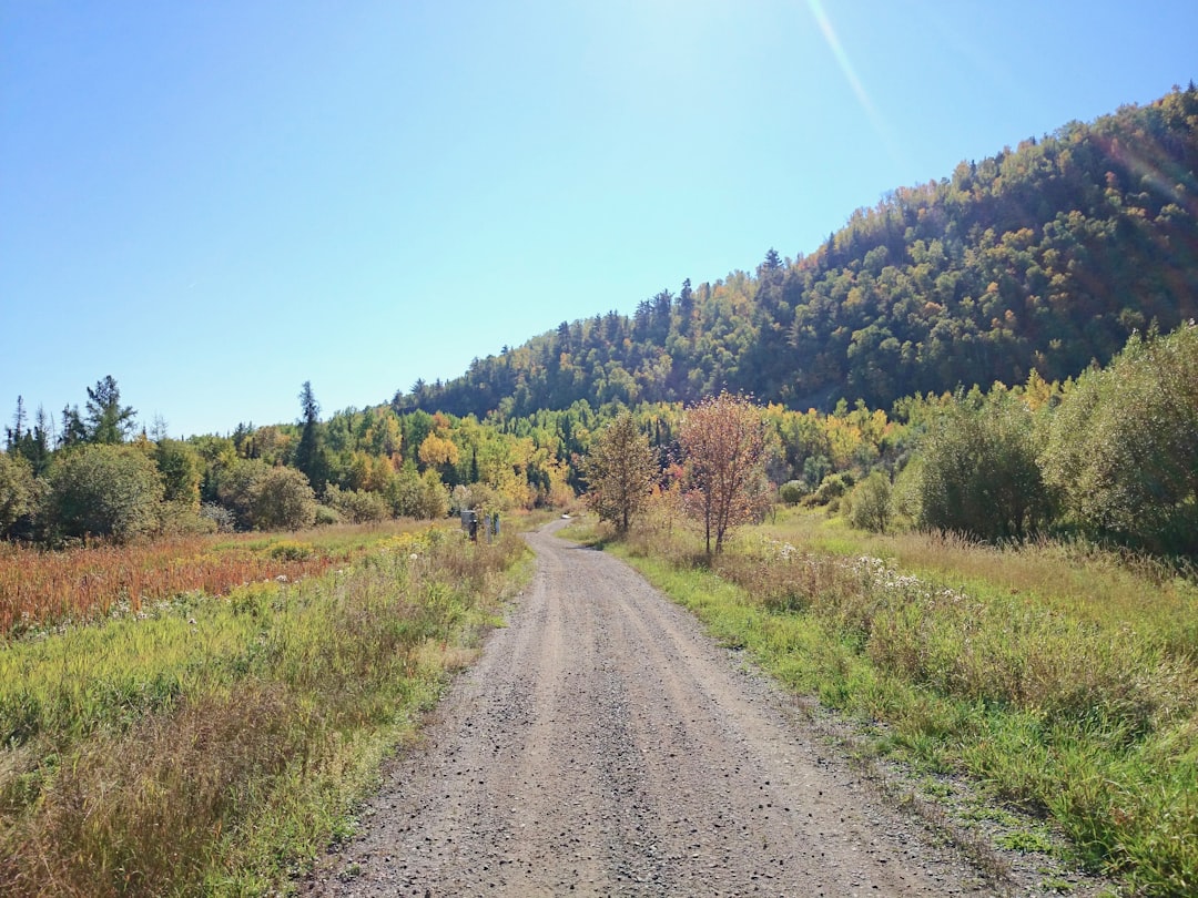 Ontario rural field and road for Southwold property guide
