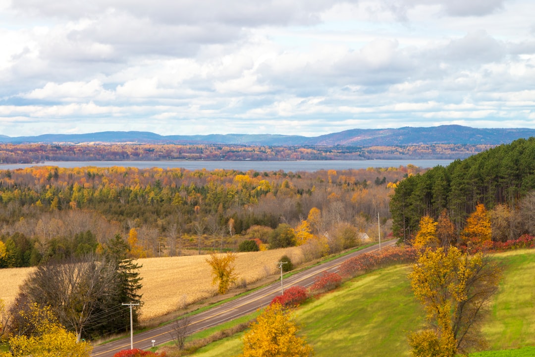 Rural agricultural landscape illustrating property ownership in Haldimand County Ontario