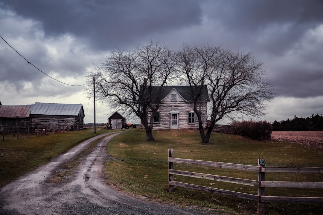 Rural Ontario farmhouse landscape for Chatham-Kent property guide